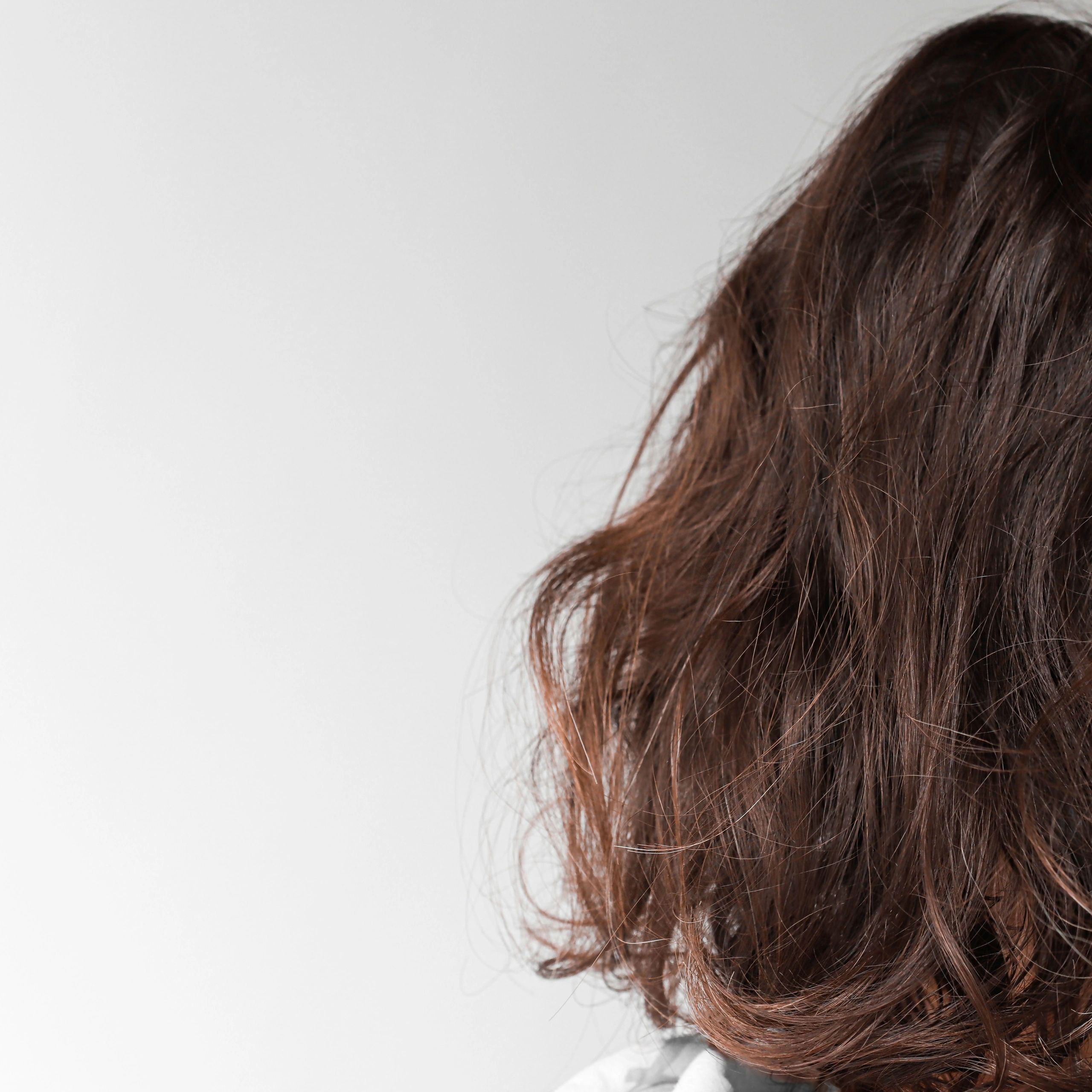 Back view of curly brunette hair